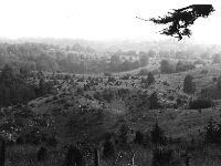 scan0018 - plesivecka planina